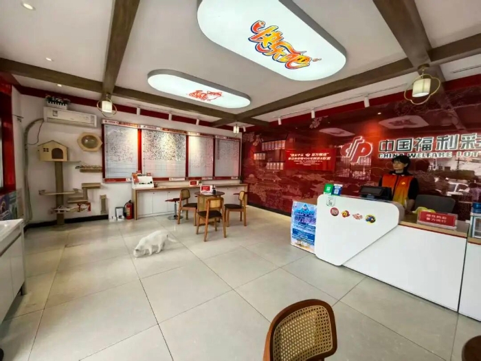 是公益驿站,也是猫咪乐园 是公益驿站,也是猫咪乐园