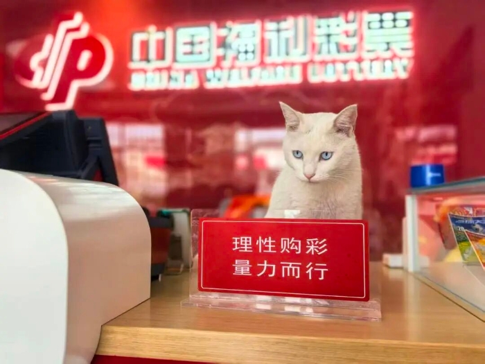 本喵郑重提示:理性购彩 量力而行! 本喵郑重提示:理性购彩 量力而行!